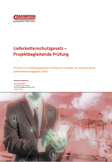 LkSG Projektprüfung