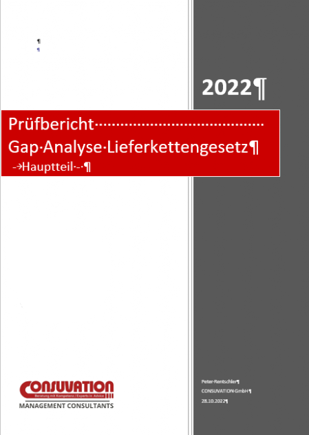 LkSG Projektprüfung